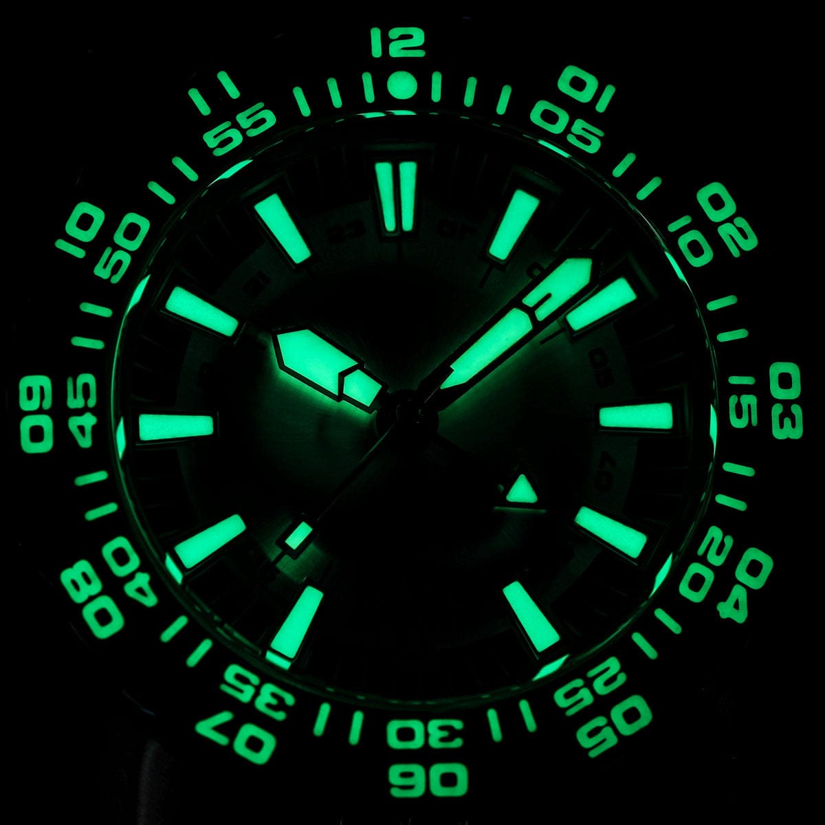 NTH DevilRay - Grey Sunburst GMT - WatchGecko Exclusive  Lume